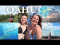we went shark diving in hawaii 🐠🌊🌴 | travel vlog