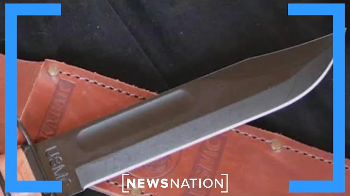 Attorney on knife sheath in Idaho killings: 'Defense team has to be pretty happy' | Banfield