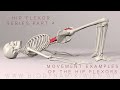 Hip Flexor Series Part 4: Hip Flexors in Action (3D Animation)