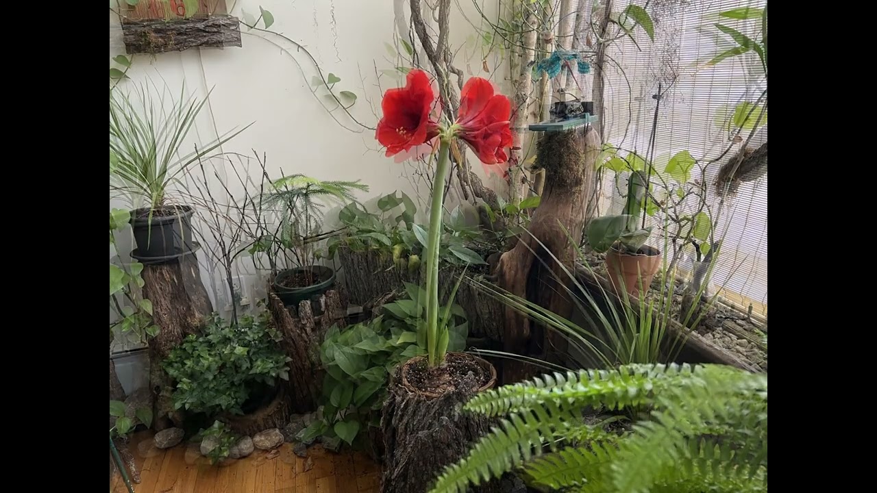 Build-It-Yourself Flower Power