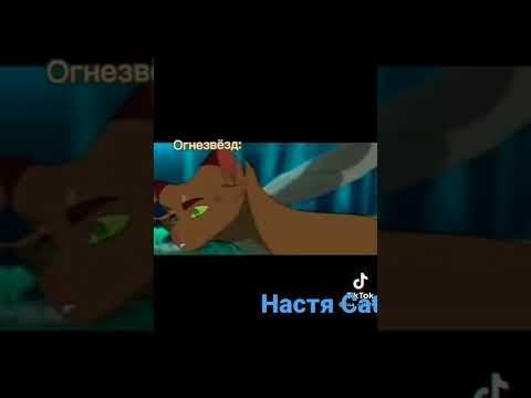 cat warriors |прикол|