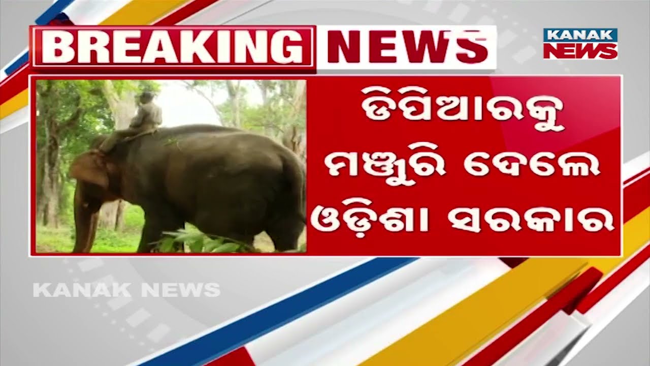 Debrigarh Sanctuary To Become International Ecotourism Destination | ₹71 Cr Mega Project Announced