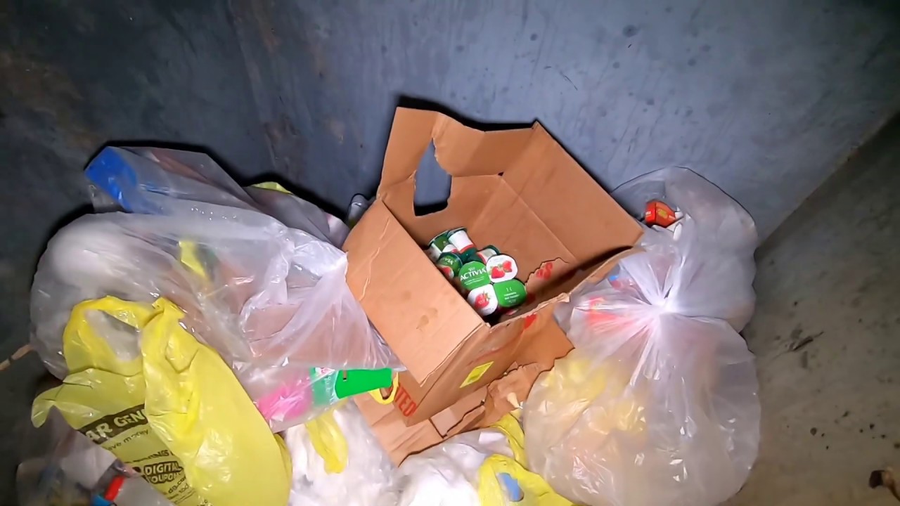 Dumpster Diving at Dollar General to Find FREE Stuff! YouTube