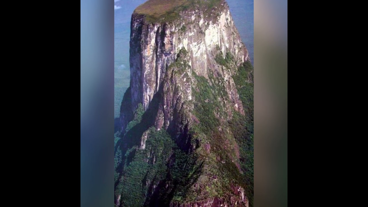 Почему ангелы рубят гигантские деревья на Земле! 