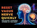 432Hz Vagus Nerve Reset for Trauma Release and Healing