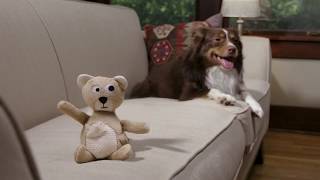 C.e.t. Veggiedent Zen