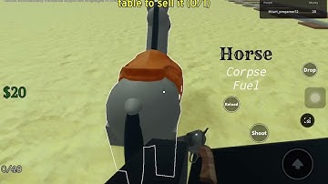 Crazy glitch for pacifist unkillable pony express and fistful of dollar (dead rails)