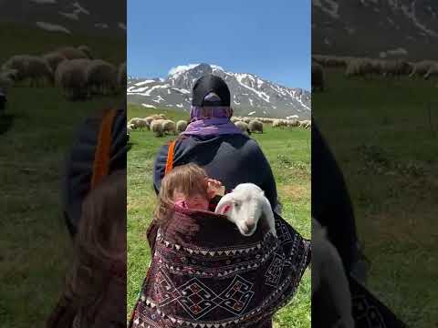 This is Turkey