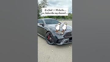 "Only 1% Can Spot the Cat... 10 Ducks Are Easy 🥺🔥"#findthedifference #hiddenobjects