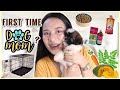 PAANO MAG ALAGA NG SHIH TZU PUPPY | DAPAT TANDAAN BAGO MAG ALAGA NG SHIH TZU (ESSENTIALS)