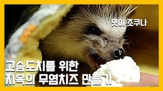 고슴도치와 햄스터를 위한 지옥의 무염치즈 만들기 [냥이아빠]