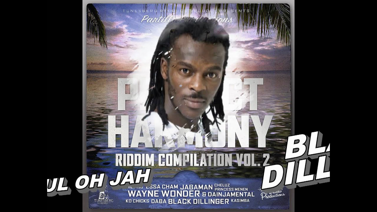 Perfect Harmony riddim vol2 - official medley (Wayne Wonder & more) Partillo Productions (feb 2011)