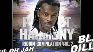 Perfect Harmony riddim vol2 - official medley (Wayne Wonder & more) Partillo Productions (feb 2011)