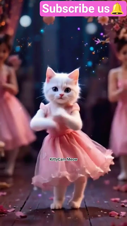 Just a Baby Cat Being a Whole Vibe 😻🎵!! #shorts #shortsfeed #usacats #cutecat #catvideos