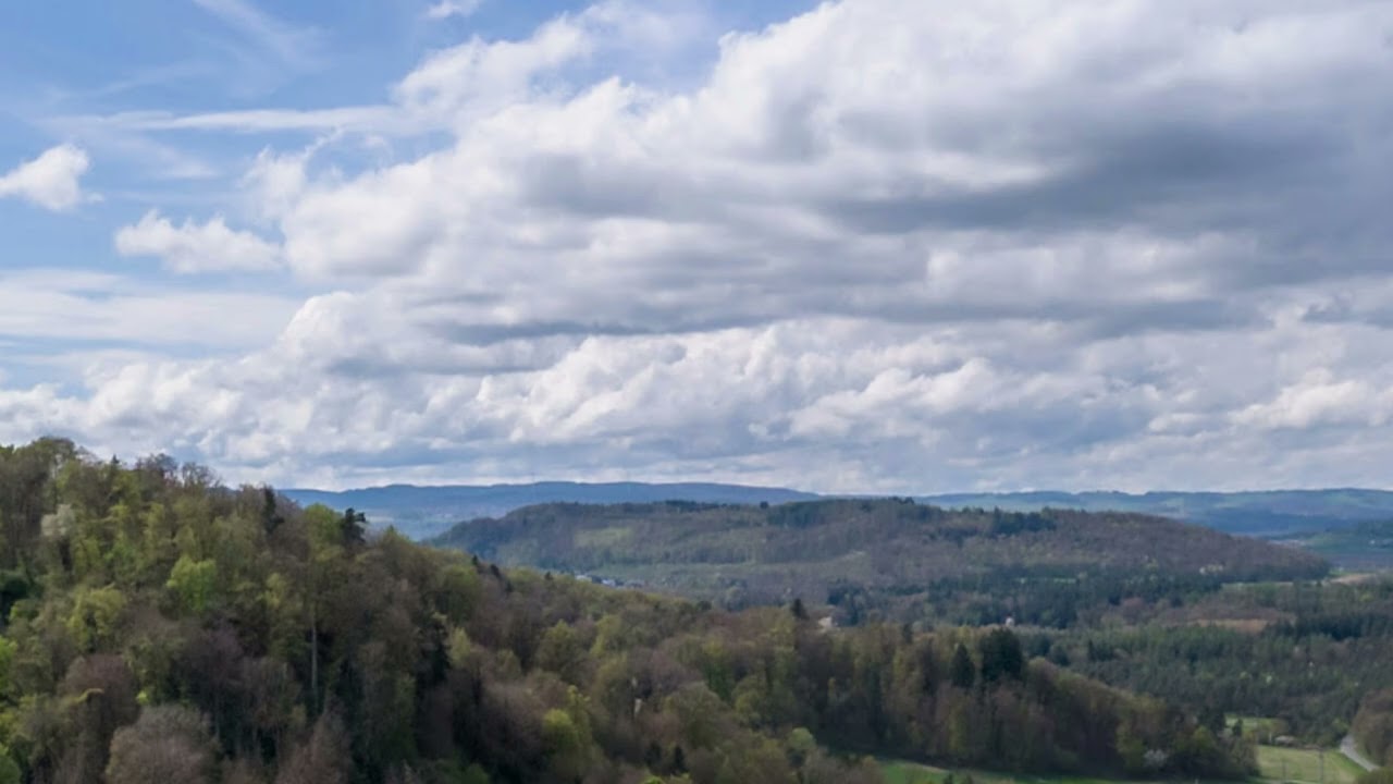 Milan Gusev - Singen 1 (2025)