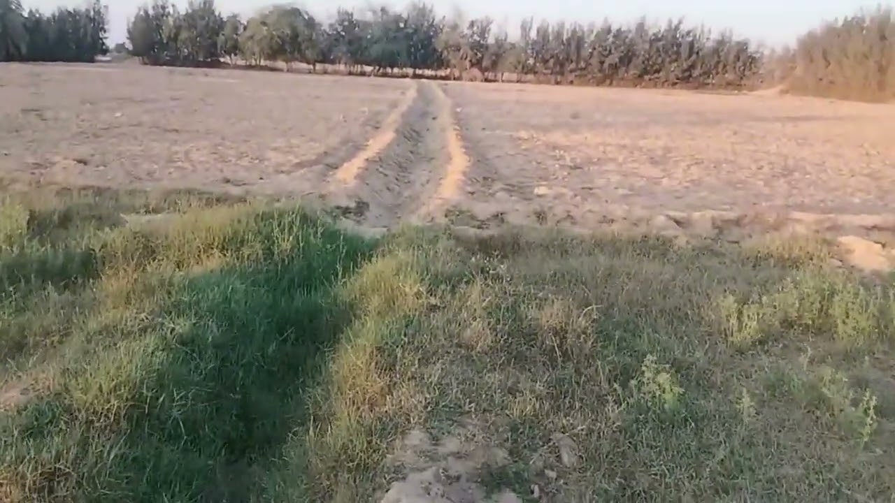 تم عرض الأرض للبيع مرة أخرى ولكن سعر الفدان 300الف جنيه وفيها منزل وحظيرة مواشي بسعر فدان 