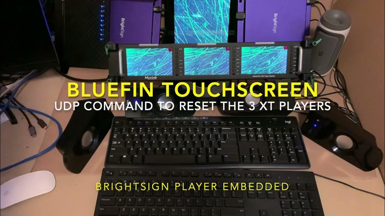 Brightsign xts audio experience with udp command to reset the
