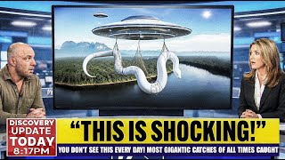 Download Lagu You Don't See This Every Day! Most Gigantic Catches Of All Times Caught On Camera! MP3