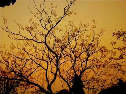 Aidan Smith — Be my how - Aidan Smith