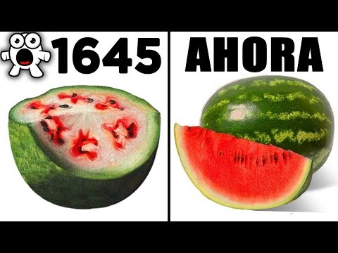 Video: Tomates Inusuales Con Espinas