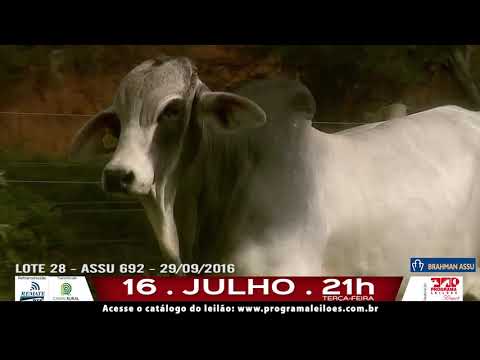 LOTE 028