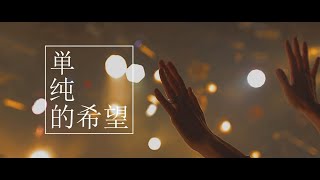 シズクノメ - 単純的希望 ［Official Live Video］ - YouTube