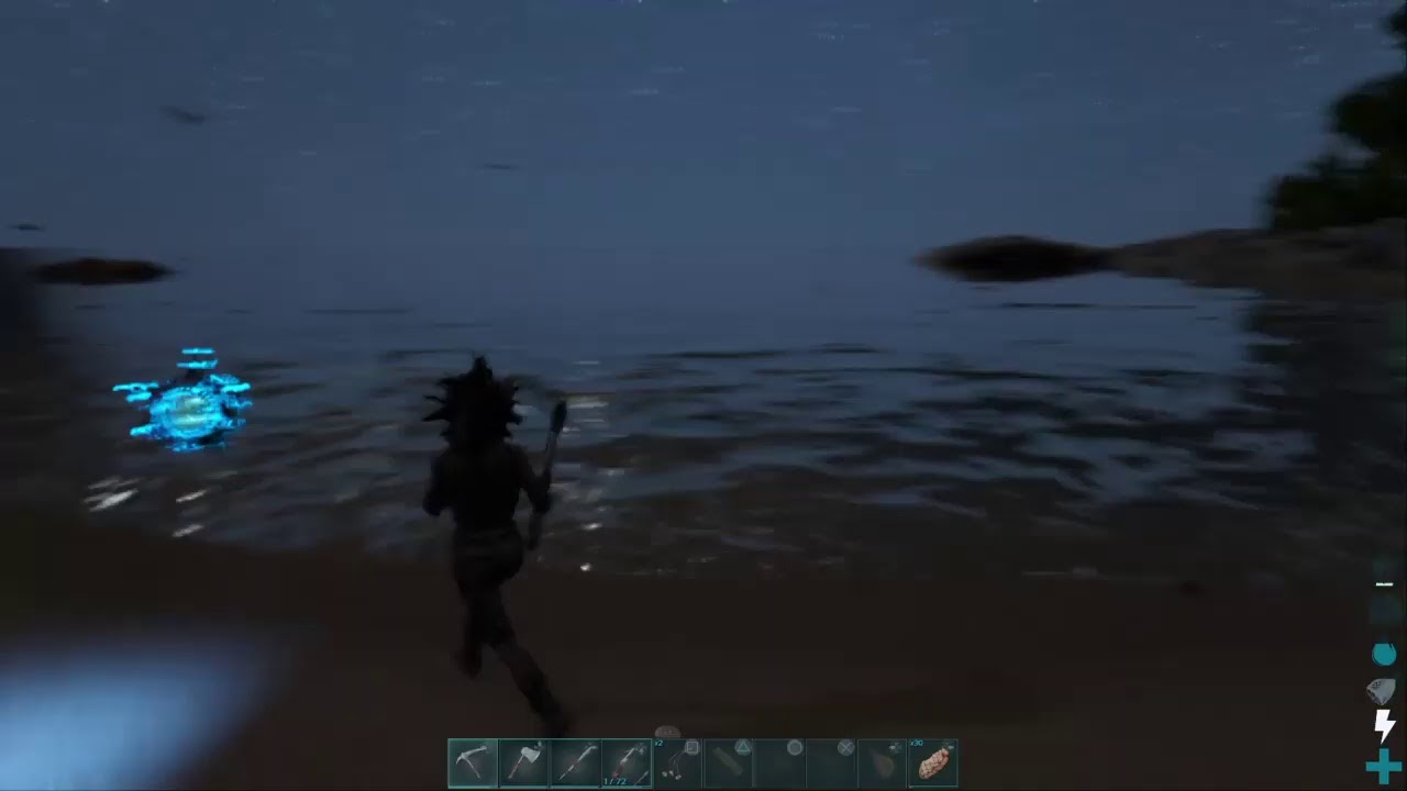 Darkark S5 first day of wipe