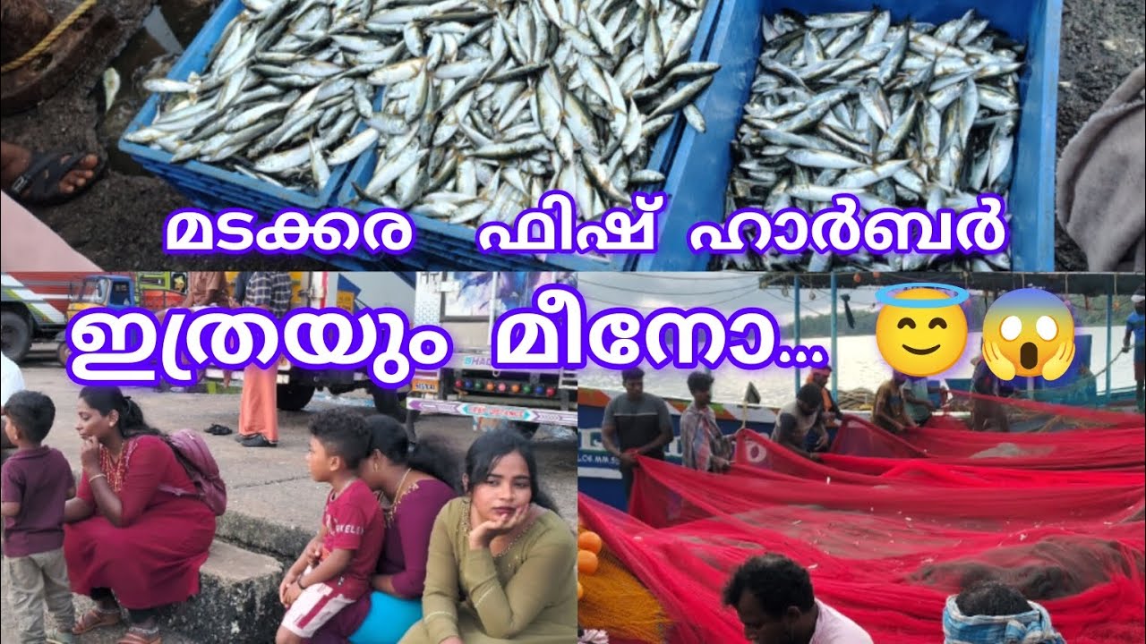 മടക്ക ഫിഷ് ഹാർബർ 🐟