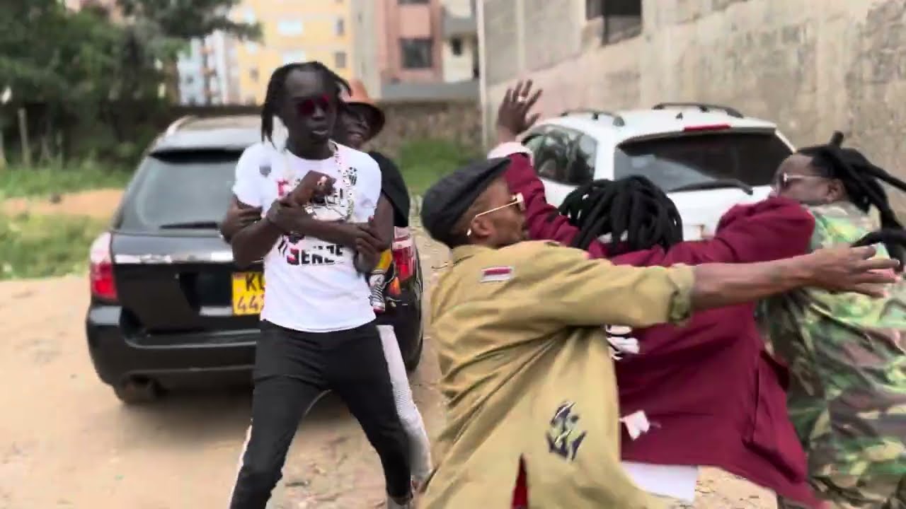 СТОЛКНОВЕНИЕ МЕЖДУ ПОПУГАЕМ И МИЛЛИТАНОМ