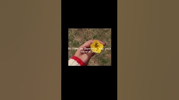 So come on Superman, say your stupid line #bebetter #tameimpala #edit #music