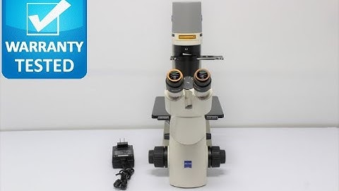 Zeiss PrimoVert Inverted Phase Contrast Microscope [BOSTONIND] - 27695