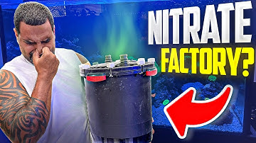 Your Canister Filter Cleaning is KILLING Your Tank! | Aquarium Canister Filter | KaveMan Aquatics