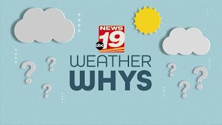 Weather Whys: 30% Chance of Rain