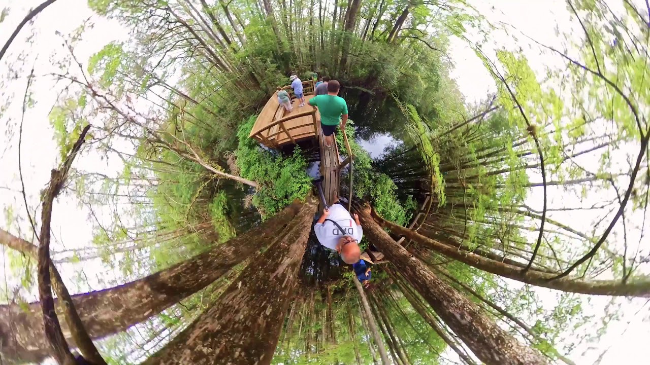 The Stafford's Go Take a Walk alng the Cypress Creek Trail