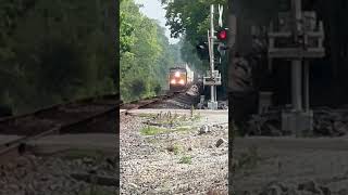 2 more idiots ignore signals for this train