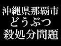 【殺処分問題】沖縄県那覇市環境衛生課との会話　※ボランティアが行うどうぶつ保護について。※概要欄に経緯が書かれています。※チャンネル登録をしてLIAの活動を応援してくださいね。