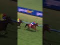 Cavalry Girl lights up Caulfield! 🔥