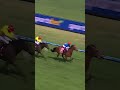 Cavalry Girl lights up Caulfield! 🔥