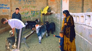 Download Lagu A Great Day with Isaac: Goat Shopping Adventure MP3 Download Lagu A Great Day with Isaac: Goat Shopping Adventure MP3