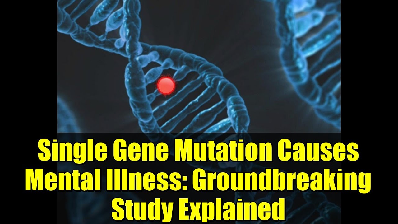 Single Gene Mutation Causes Mental Illness: Groundbreaking Study Explained