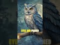 The Moonlit Adventure of Luna the Owl