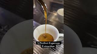 Download Lagu How a Good Espresso Extraction Should Look MP3