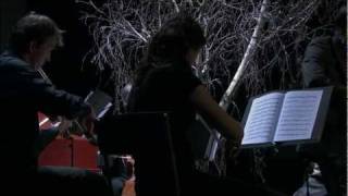 Festival Musica Nigella 2011