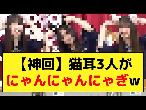 【神回】井上和、菅原咲月、小川彩が猫耳でアレを披露www【乃木オタ反応集】