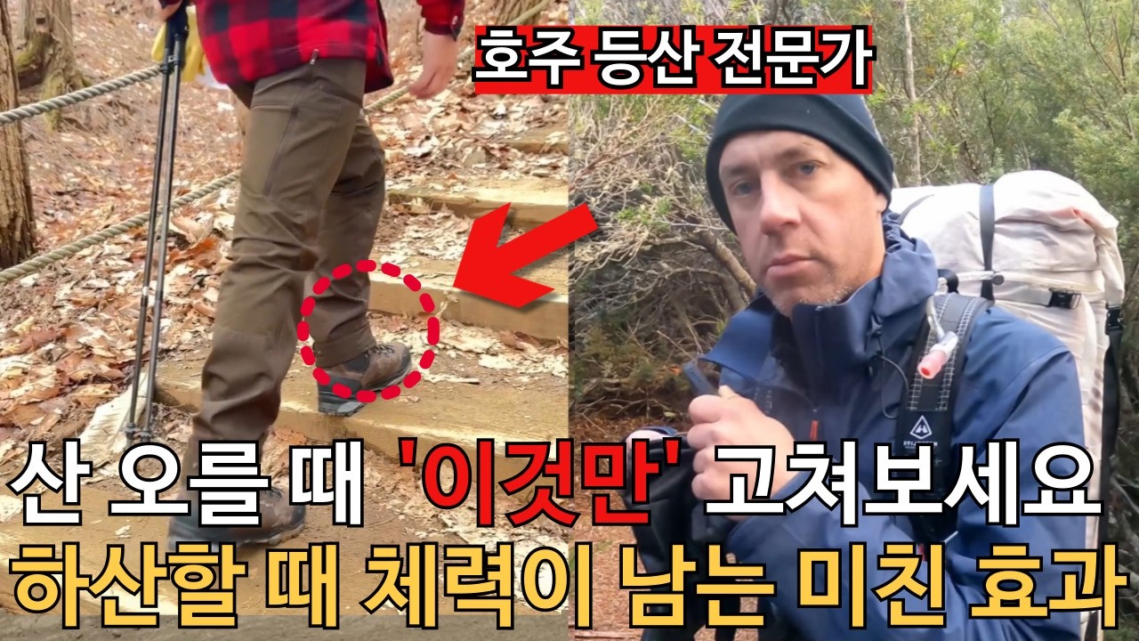 등산 이렇게 했더니 하나도 안 지치네요 l 오히려 체력이 남는 충격적인 비법