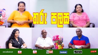 තරු පලස | Tharu Palasa | Madhura TV | 2023-12-11