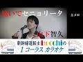 【新幹線運転士が歌う】 抱いてセニョリータ / 山下智久 カバー 新幹線運転士 Hocchi 1コーラスカラオケ