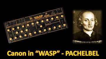 Behringer WASP Deluxe - Canon in WASP - Pachelbel
