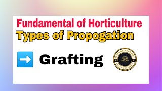 Grafting ||Fundamental of Horticulture ||Bsc Ag.5th Semester ||@stiphanAcademy screenshot 2