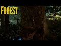 Naprawa &amp; Rozbudowa 🛠️ | The Forest #13